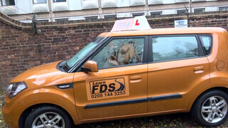 Fake Driving School Amber Rayne esete a gigantikus barna fasszal